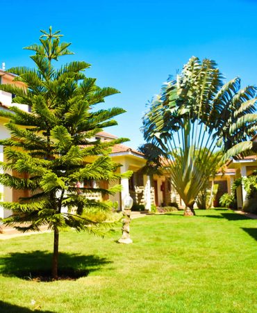 Best Venue for Garden Weddings Best Venue for Garden Weddings